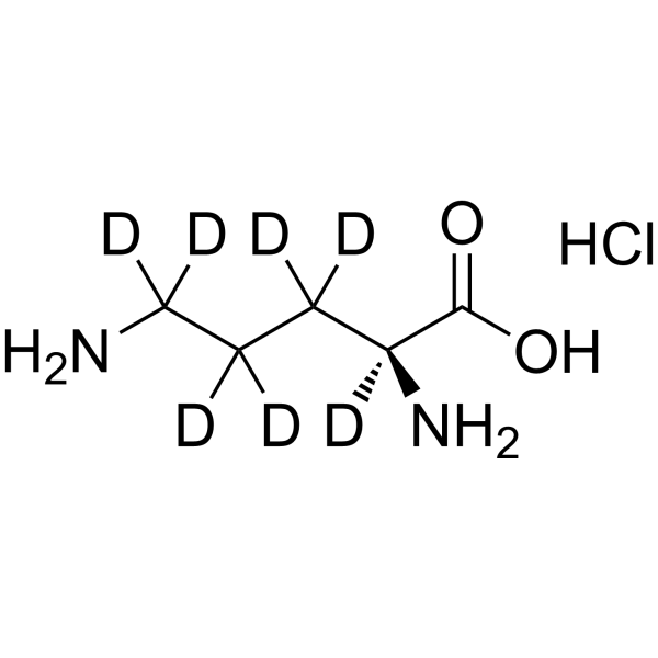 L-Ornithine-d7 hydrochloride (L-ornithine hydrochloride-d7) 2483831-57-6